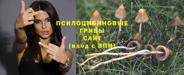 соль курить ск Горнозаводск