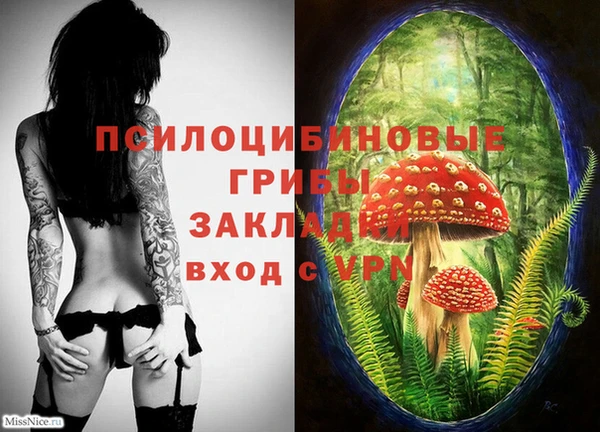марки nbome Горняк